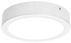 Rabalux Rabalux 3173 - LED Stropné svietidlo SHAUN LED/24W/230V pr. 22 cm RL3173