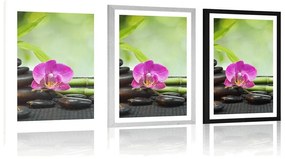 Plagát s paspartou Feng Shui zátišie - 40x60 silver