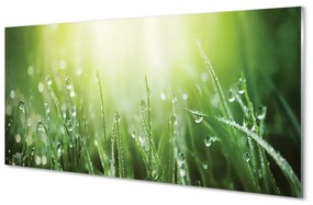 Obraz na skle Tráva slnko kvapky 100x50 cm