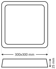 LED stropné svietidlo LED/24W/230V 3000/4000/6500K 30x30 cm biela