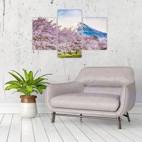 Obraz - Japonsko na jar (90x60 cm)