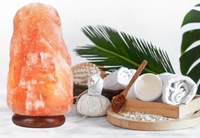 Soľná lampa SALLY 1xE14/25W/230V