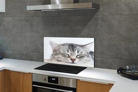Nástenný panel  ospalá mačka 125x50 cm
