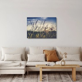 Sklenený obraz lúčnych kvetov (70x50 cm)