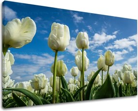 Obraz na stenu KVETY KV040E11 - 20x30 cm