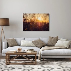 Obraz poľa pri západe slnka (90x60 cm)