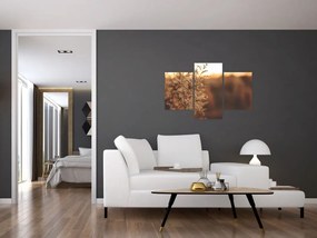 Obraz kvitnúcej trávy (90x60 cm)