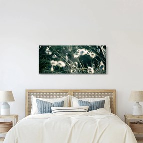 Obraz - Pavučina (120x50 cm)