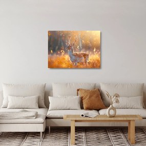 Sklenený obraz - Jeleň v poli (70x50 cm)