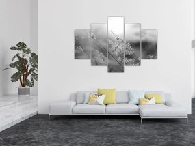 Obraz - Jesenná lúka (150x105 cm)