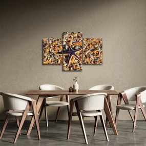 Obraz morskej hviezdice (90x60 cm)