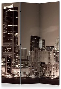Artgeist Paraván - Miami in Sepia [Room Dividers]