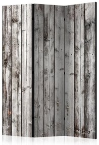 Artgeist Paraván - Raw Boards [Room Dividers]