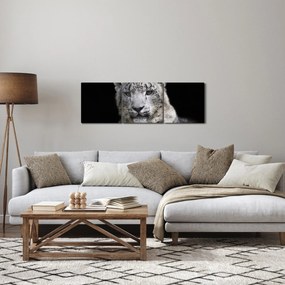 Obraz - Leopard snežný (s hodinami) (90x30 cm)