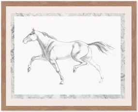 Nástenná dekorácia v ráme Single Horse, rôzne veľkosti