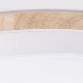 Brilliant - LED St. stropné svietidlo BAARLO LED/36W/230V pr. 50 cm biela + DO