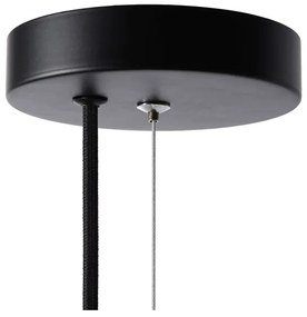 Lucide 25409/01/30 - Luster na lanku FERN 1xE27/60W/230V