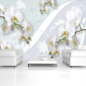 Fototapeta - Orchidea (254x184 cm)