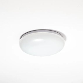 URAN | Stropné LED svietidlo 12W