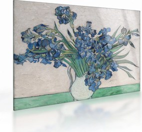 Sklenený obraz - Vincent van Gogh, Irises, reprodukcia (70x50 cm)
