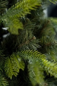 Limpol Kanadská borovica 2,40 m