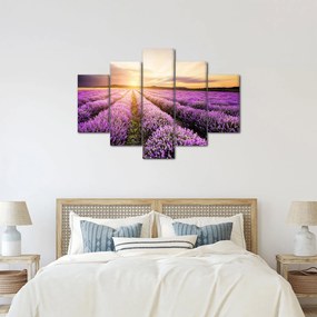 Obraz - Východ slnka v levanduľovom poli (150x105 cm)