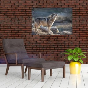 Obraz - Vyjúci vlk (90x60 cm)
