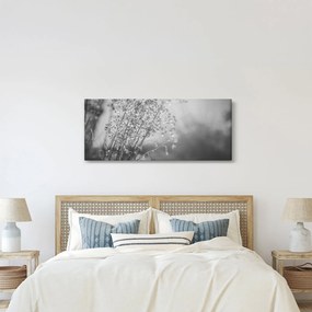 Obraz - Lúka po daždi (120x50 cm)