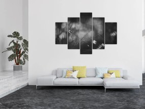 Obraz - Lúčna tráva (150x105 cm)