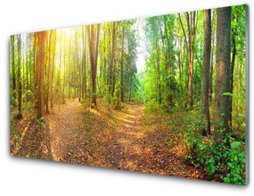 Skleneny obraz Slnko príroda lesné chodník 125x50 cm
