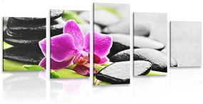 5-dielny obraz wellness zátišie s fialovou orchideou - 200x100