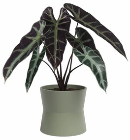 Keramický kvetináč ø 14 cm Diana – Artevasi