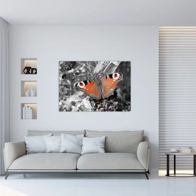 Oranžový motýľ - obraz