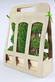 Zelené sušené bonsaje 3ks v darčekovom balení 24cm