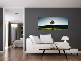 Obraz prírody - strom (120x50 cm)