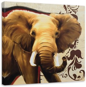 Obraz na plátně Sloní Afrika - 60x60 cm