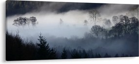Obraz hmly nad lesom (120x50 cm)
