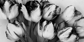 Obraz tulipány v jarnom nádychu v čiernobielom prevedení - 100x50