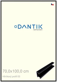 DANTIK rám na obraz 70x100 | ALU Černá Florentinská (Plexi Čiré)