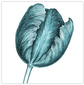 Obraz zeleného tulipánu