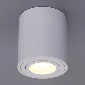 Toolight Toolight, bodová stropná-nástenná lampa 1xGU10 322117A, biela, OSW-08801