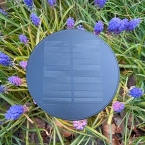 Zuma Line DT33611 - LED Solárna lampa CARLI LED/2W/2000 mAh IP44 čierna