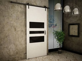 Posuvné dvere Roko I 100, Farba:: grafit