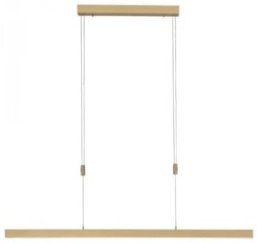 Paul Neuhaus 2568-60 - LED Stmievateľný luster na lanku ADRIANA LED/14W/230V mosadz