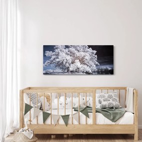 Obraz - Snehobiely strom (120x50 cm)
