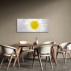 Obraz - Margarita (120x50 cm)