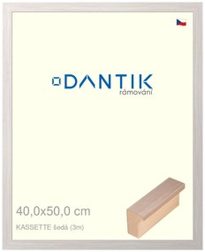 DANTIK rám na obraz 40x50 | KASSETTE šedá (Sklo Čiré)