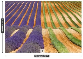 Fototapeta Vliesová Provence francúzsko 104x70 cm