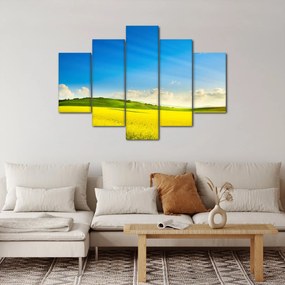 Obraz - Jarné nebo (150x105 cm)