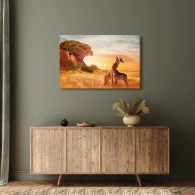 Obraz - Žirafy v Afrike (90x60 cm)